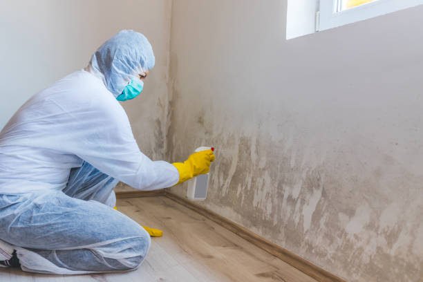 Licensed Bathroom Mold Removal service in Marysville, MI - WQB Mold Removal