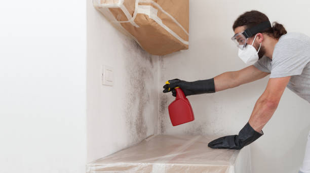 Professional Bathroom Mold Removal technician working in Marysville, MI