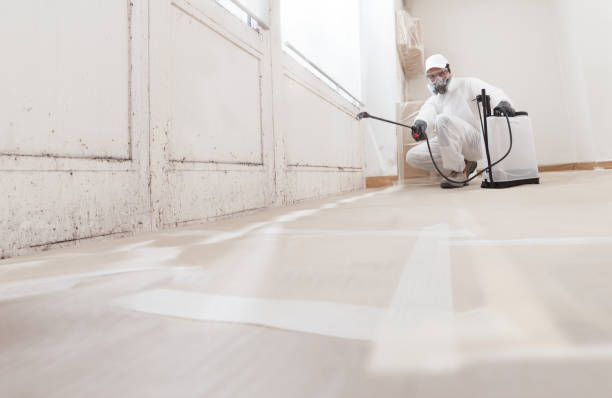 24/7 Emergency Bathroom Mold Removal experts in Marysville, MI