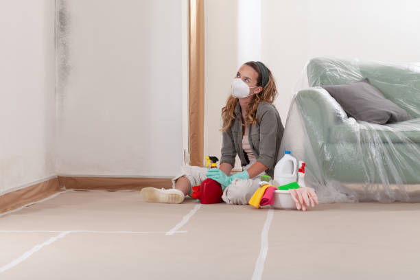 Reliable Bathroom Mold Removal contractor in Marysville, MI by WQB Mold Removal